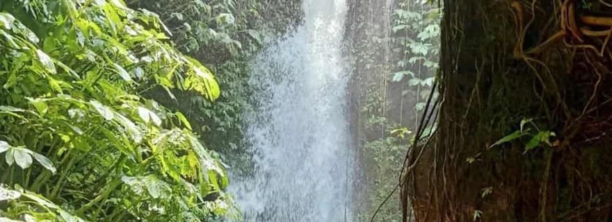 Tetebatu : circuit à travers les rizières, les villages et les cascades