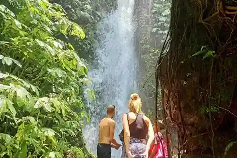 Tetebatu : Passeggiata su una terrazza di riso, cascata Includere Luch