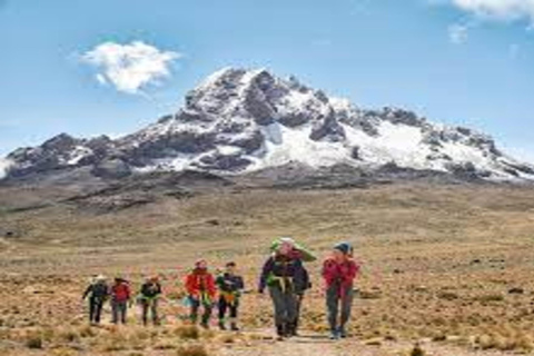 From Nairobi: Mount Kenya Day Tour with Lunch