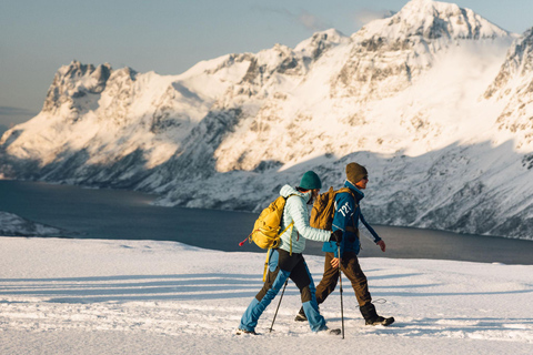 From Tromsø: Snowshoeing Hike with Picnic Lunch and Photos