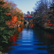 From Tokyo: Nikko Private luxury Tour with English Guide