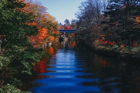 From Tokyo: Nikko Private luxury Tour with English Guide - Image 3