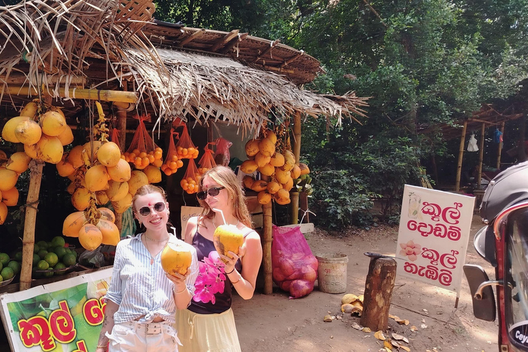 Kandy: Sigiriya and Dambulla Tuk Tuk Safari with Lunch
