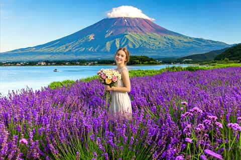 東京発：富士山＆荒倉山、忍野八海、忠霊塔 - 2026件（実際の体験者