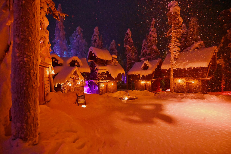 Levi：Arcandia，精灵法庭/日光和公园/黑暗精灵法庭：3 小时体验和公园之旅