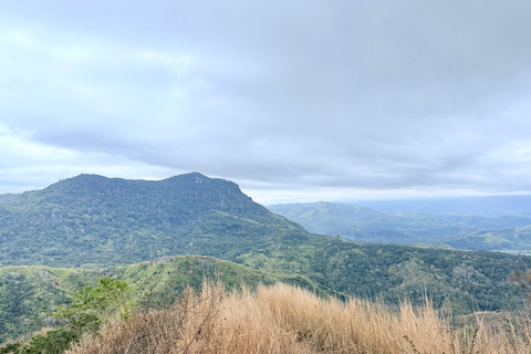 Eco Tour with Waterfall & Cultural Emersion