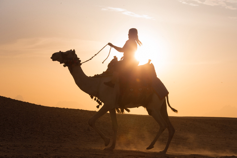 Hurghada: Paseo en quad, camello y caballo con barbacoa y observación de las estrellasVisita compartida