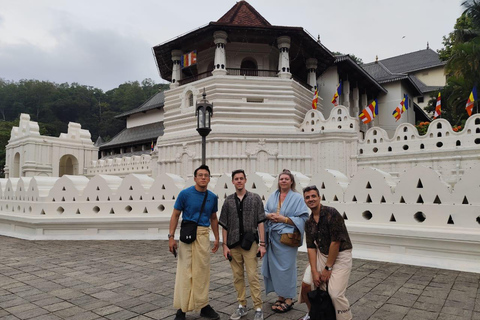 Colombo: Kandy Day Trip with Scenic Hill Country Train Ride