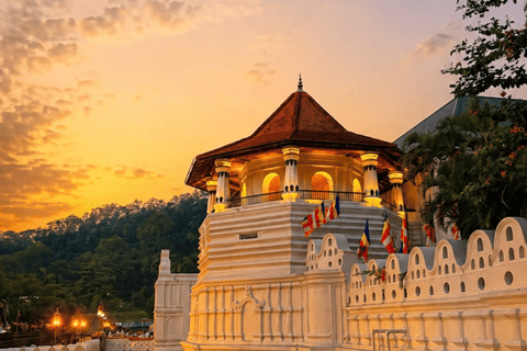 6-Day Sri Lanka Tour: Pinnawala, Kandy & Gem Capital All-Inclusive Package with 3-Star Hotels