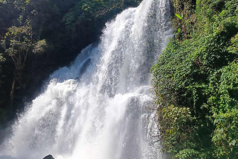 Chiang Mai: Doi Inthanon National Park & Elefantenschutzgebiet