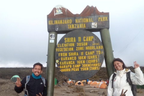 Kilimangiaro: tour di 7 giorni sulla Machame Route