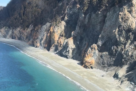Seward : Tour en hélicoptère de l'océan et des icebergs avec 2 atterrissages