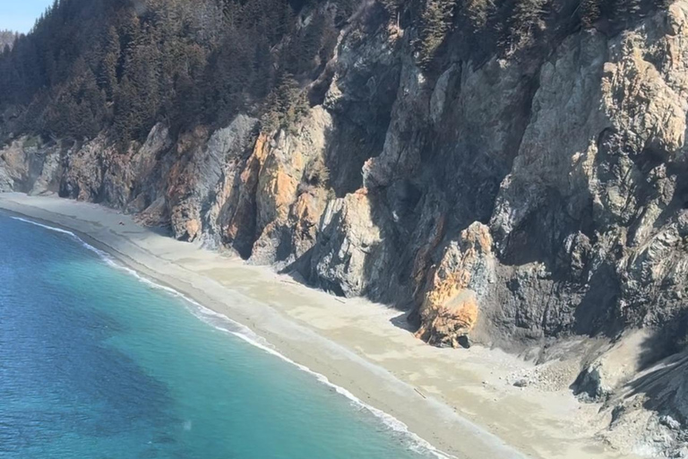 Seward : Tour en hélicoptère de l'océan et des icebergs avec 2 atterrissages