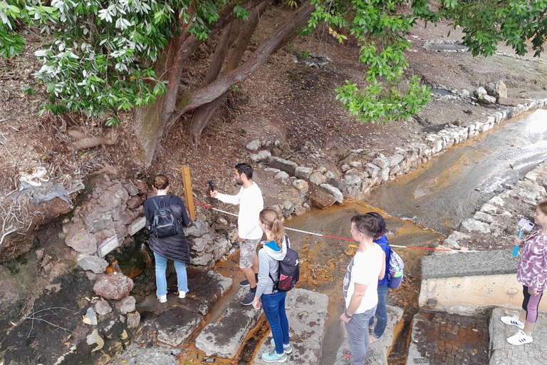 Açores : Circuit de 2 jours à São Miguel pour les volcans de l'Ouest et de l'EstCircuit de 2 jours sur l'île INCLUANT les déjeuners