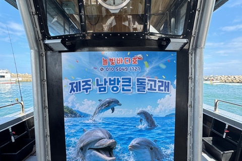 Chagwido Boat Fishing, Dolphin Watching with Local Lunch