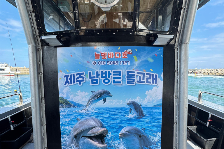 Chagwido Boat Fishing, Dolphin Watching with Local Lunch