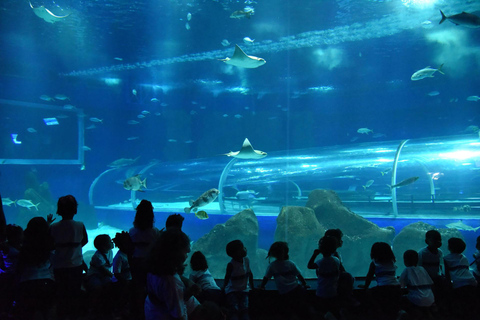 Discover AquaRio & Olympic Boulevard: Marine Life and Art