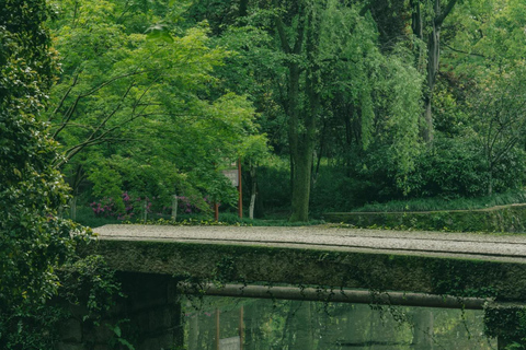 Wuxi: Hangzhou Nine Creeks & Longjing Tea Village Day Trip