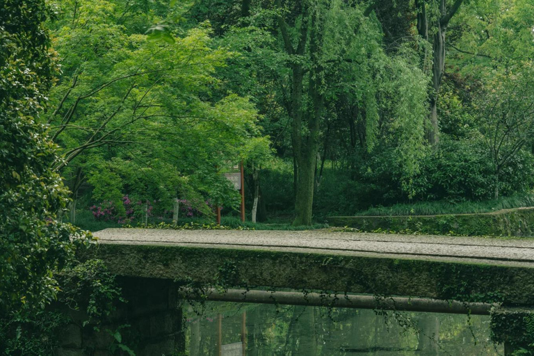 Wuxi: Hangzhou Nine Creeks & Longjing Tea Village Day Trip