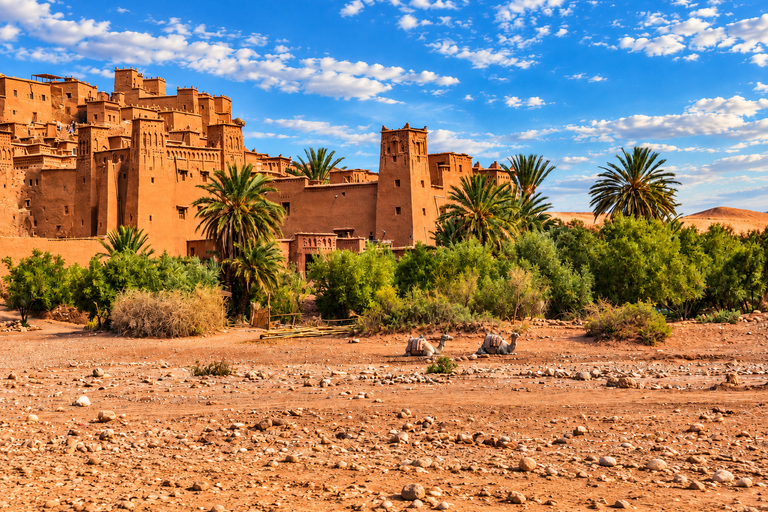 From Agadir: 2-Day Zagora Desert Tour, Camel Ride & Camp Shared Tour – Luxury Desert Camp & Camel Rides