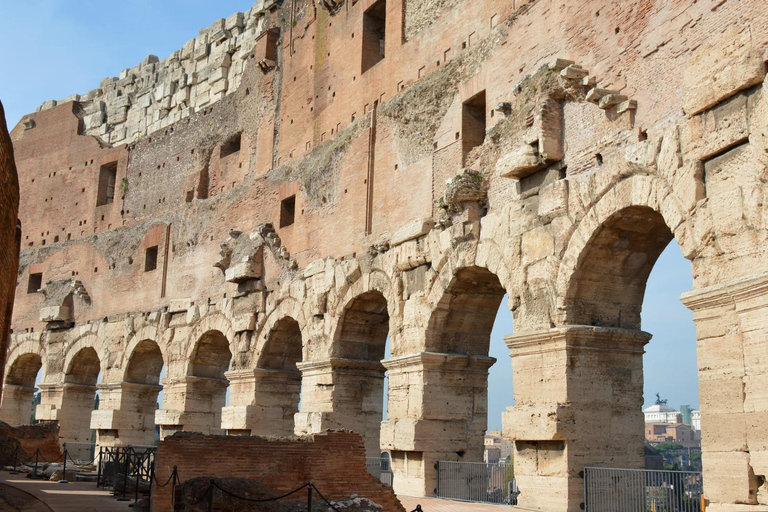 Rome: Colosseum, Roman Forum, & Palatine Group Tour Rome: Colosseum English Skip the Line Guided Tour with Forum