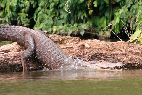 Puerto Maldonado: tour nocturno en barco por el río TambopataPuerto Maldonado: Tour nocturno en barco por el río Tambopata