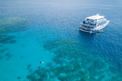 Cairns: Gita in barca con snorkeling notturno nella Grande Barriera Corallina
