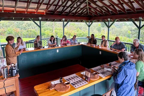 Big Island Hawaii: Craft Chocolate Tasting and Farm Tour