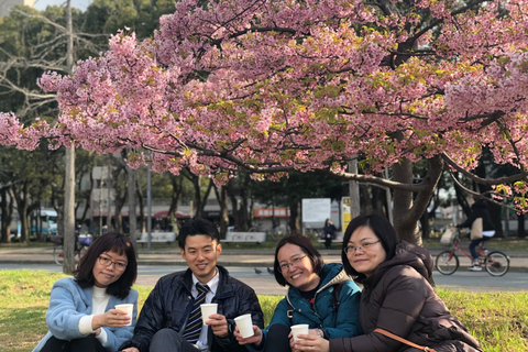 Osaka: Springtime Sakura Picnic "Hanami"