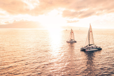 From Lahaina: Golden Hour Whale Watch aboard Alihilani