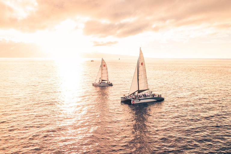From Lahaina: Golden Hour Whale Watch aboard Alihilani
