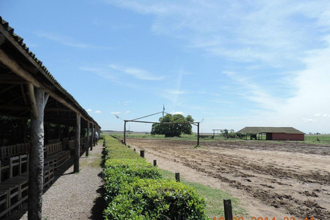 Buenos Aires: Santa Susana Ranch Day Tour, BBQ & Shows
