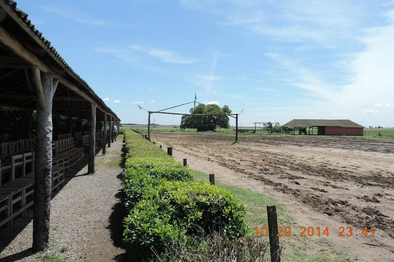 Buenos Aires: Santa Susana Ranch Day Tour, BBQ & Shows