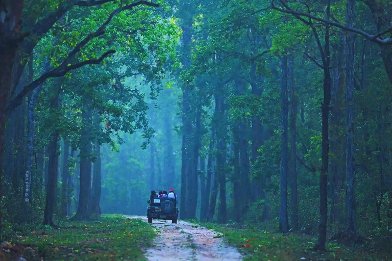 Delhi: Tour privado de 7 días por el Triángulo de Oro con RanthamboreExcursión al Triángulo de Oro con coche, guía y hotel