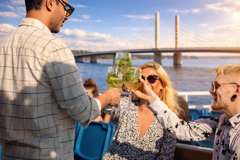 Sightseeing Cruise: Under the Bridges of Helsinki