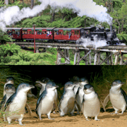 From Melbourne: Puffing Billy and Penguin Parade Combo Tour