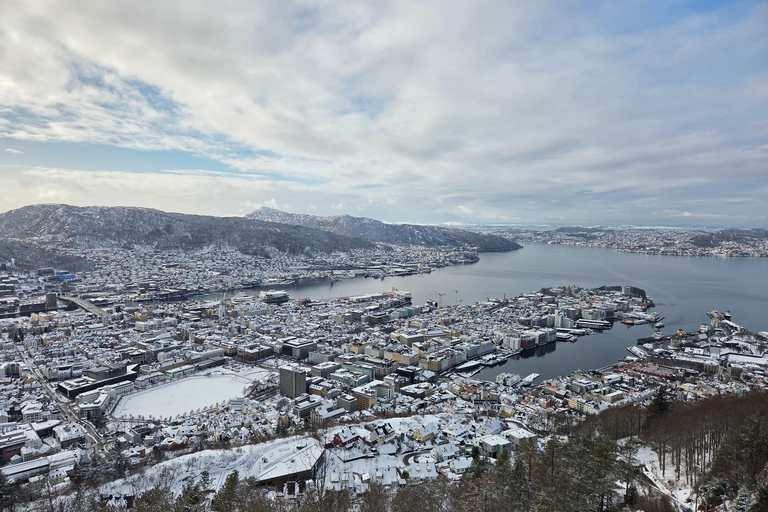 Bergen in a Nutshell: See It All in One Day