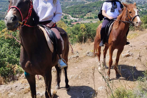 Bodrum: Horse Riding Experience with Forest or Seaside Route Seaside Horse Riding Tour (2 Hours – Beach Route)