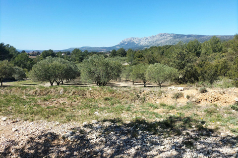 Fördjupning på landsbygden med hästridning i Sainte VictoireHästryggen