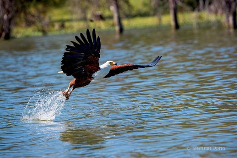 Nairobi: Hell's Gate & Lake Naivasha Day Trip with Boat Ride
