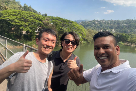 From Airport: 2-Night Sigiriya and Kandalama with Kandy Drop