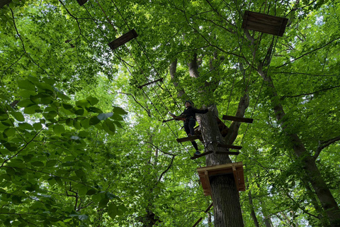 Kelkheim: Outdoor climbing experience in the forest ropes course with circuit and zip lines