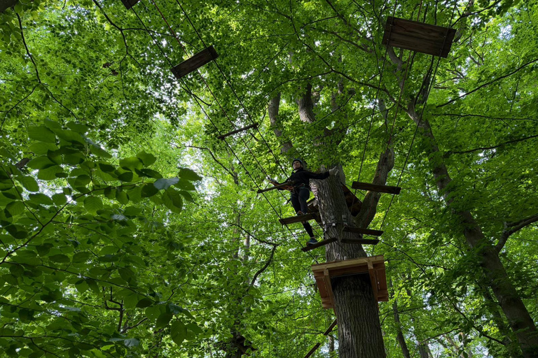 Kelkheim: Outdoor climbing experience in the forest ropes course with circuit and zip lines
