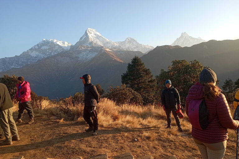 Ghorepani: Wanderung auf dem Poon HillStandard-Option