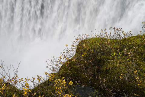Puerto de Akureyri: Excursión a Dettifoss, Goðafoss y el lago Mývatn