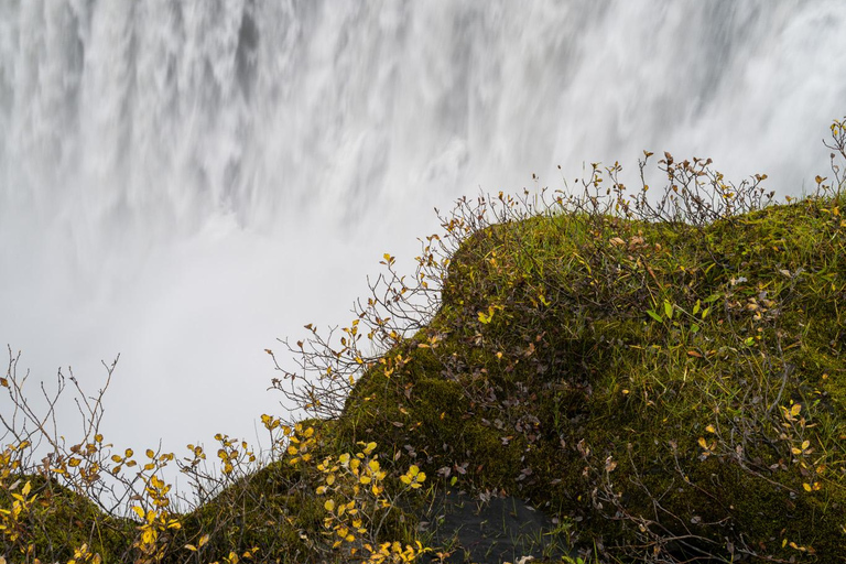 Puerto de Akureyri: Excursión a Dettifoss, Goðafoss y el lago Mývatn