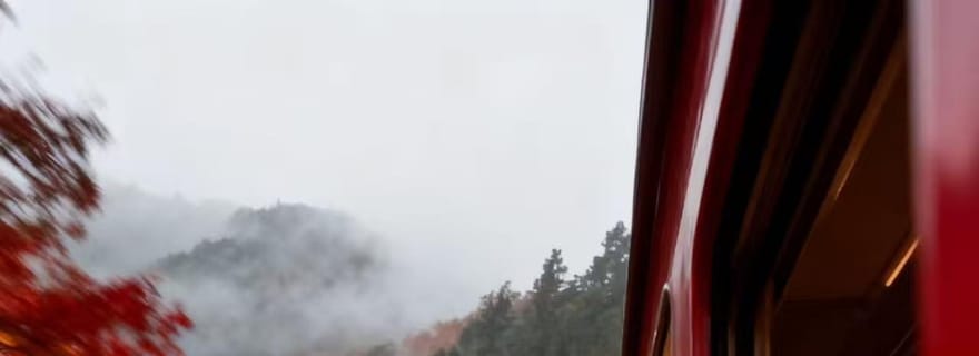 Taichung : visite de la zone panoramique nationale d'Alishan et de Fenqihu