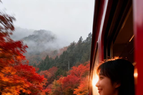 从台北或台中出发：2 天阿里山和日月潭之旅从台北出发：四座商务车