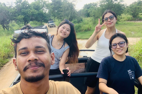 Ella to Anywhere: Private Scenic Journey & Flexible Stops Private Car with Driver – Up to 125 km (Island-wide)