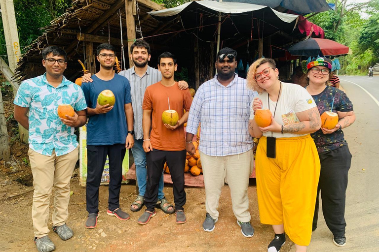 Kandy Day tour With Tea Factory from Colombo